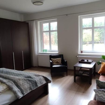 Ferienwohnung Zacisze Pod Bukami Gornica Exterior foto