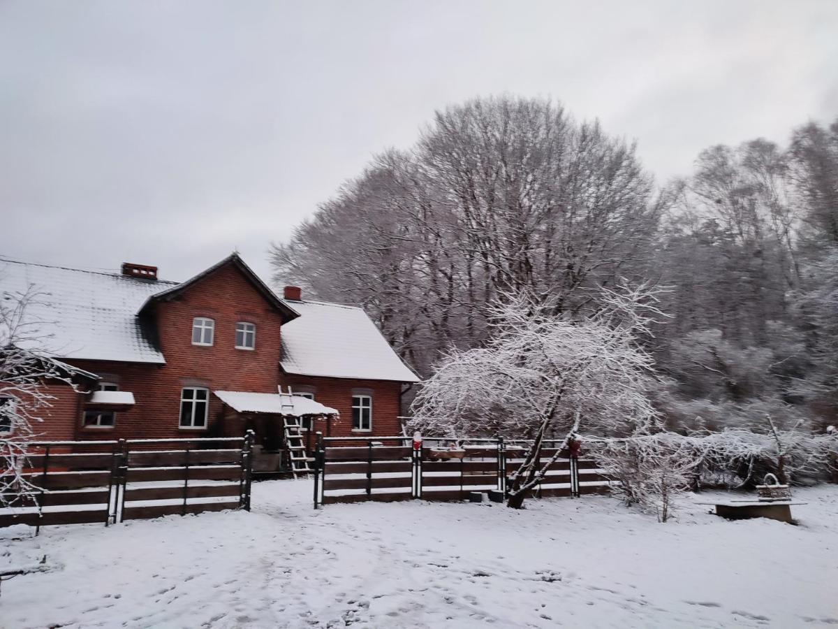 Ferienwohnung Zacisze Pod Bukami Gornica Exterior foto