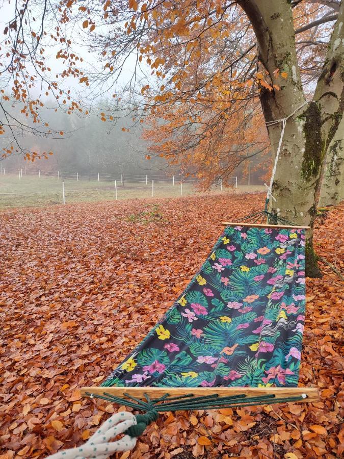 Ferienwohnung Zacisze Pod Bukami Gornica Exterior foto