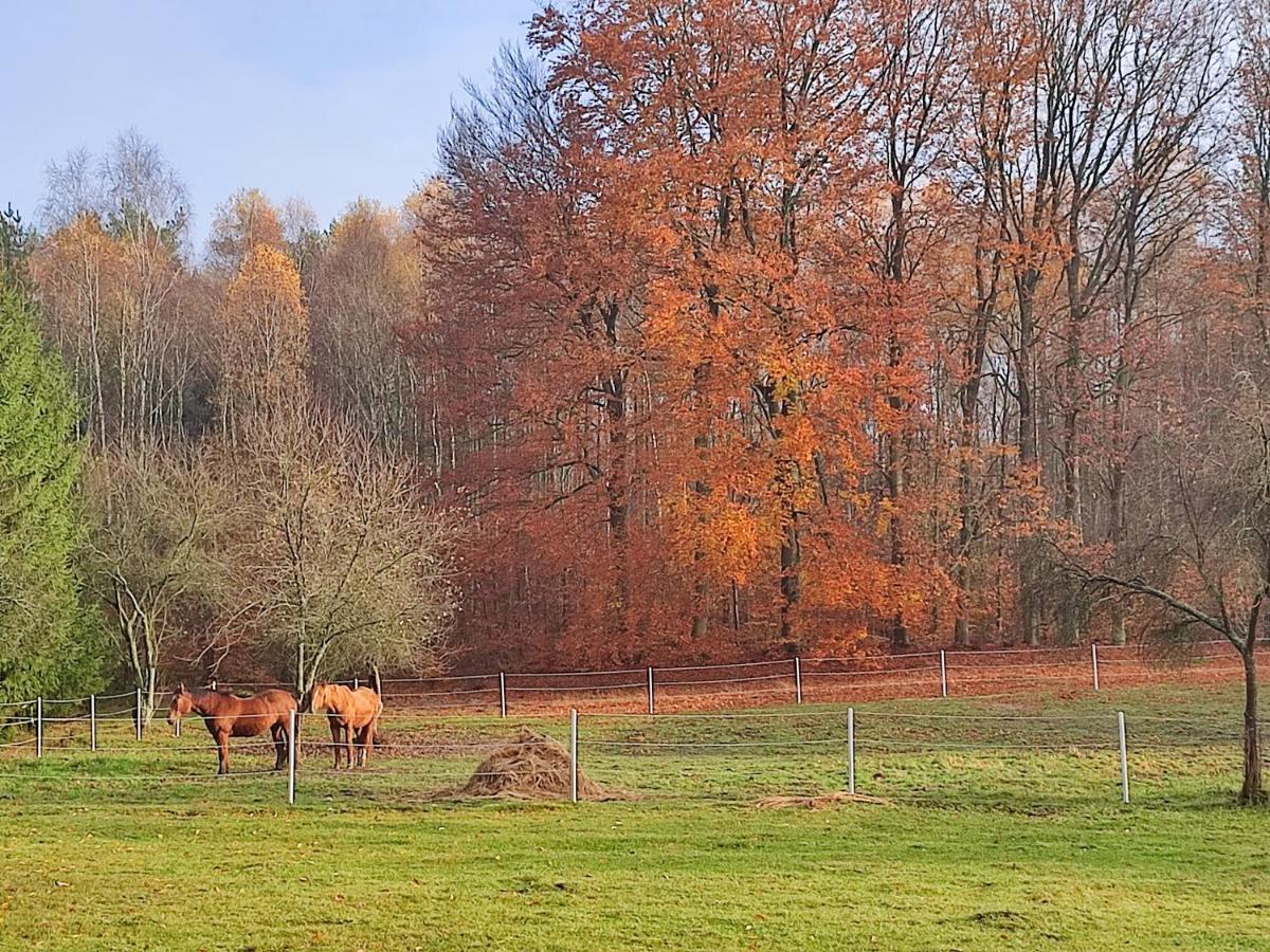 Ferienwohnung Zacisze Pod Bukami Gornica Exterior foto