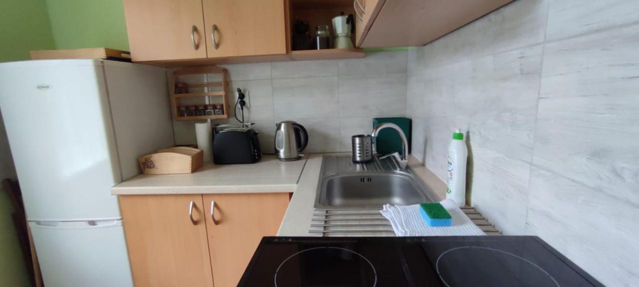 Ferienwohnung Zacisze Pod Bukami Gornica Exterior foto